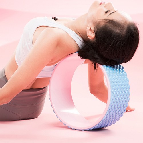 Exercise wheel gymnastics - exercise,